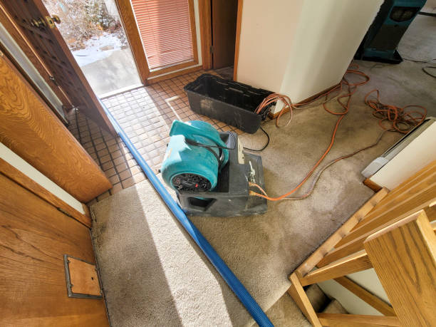 Best Crawl Space Water Damage Solutions in Armonk, NY